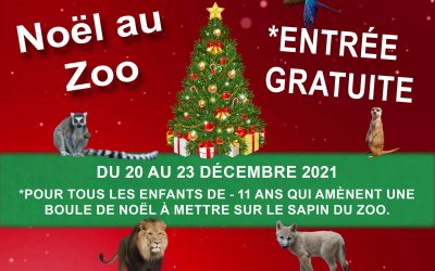 Noël au Zoo