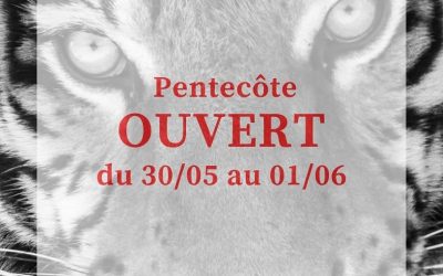 Week-end de Pentecôte le zoo sera ouvert