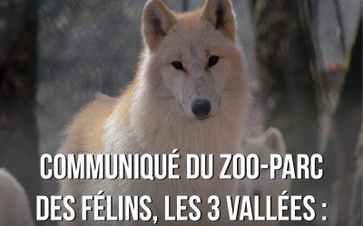 Communiqué du Zoo-Parc des Félins, les 3 Vallées